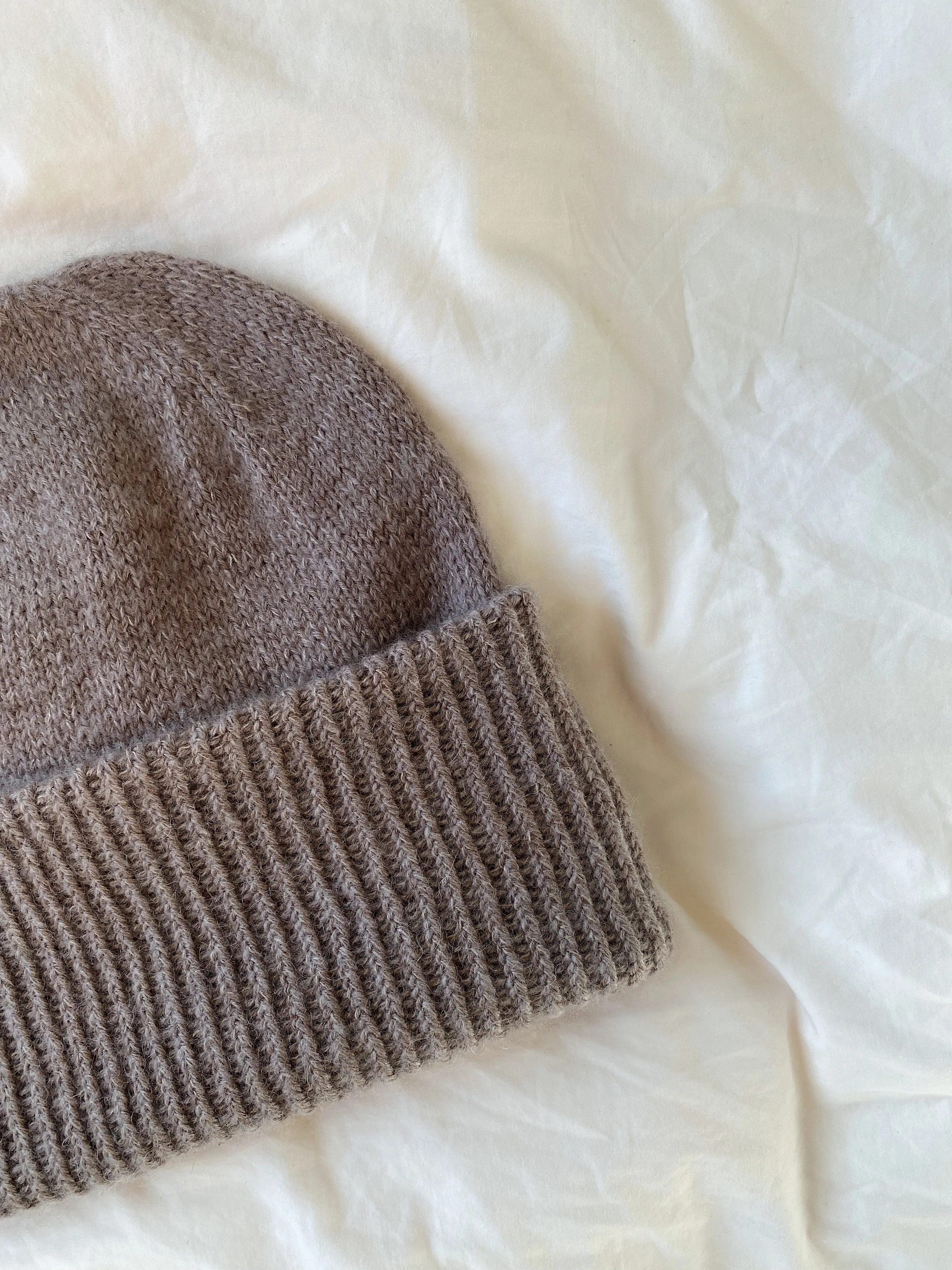 Beanie No. 3 - ENGLISH