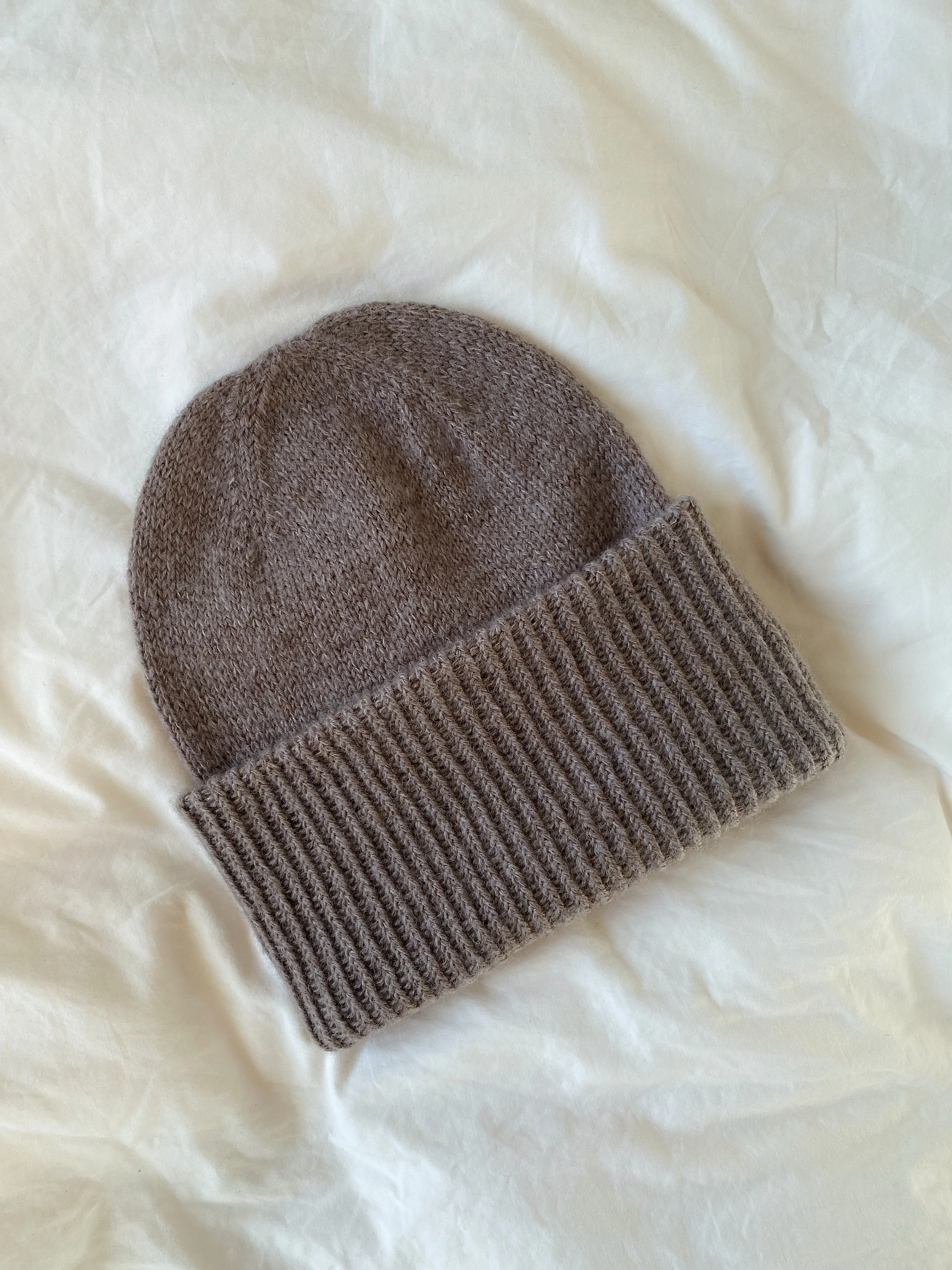 Beanie No. 3 - ENGLISH