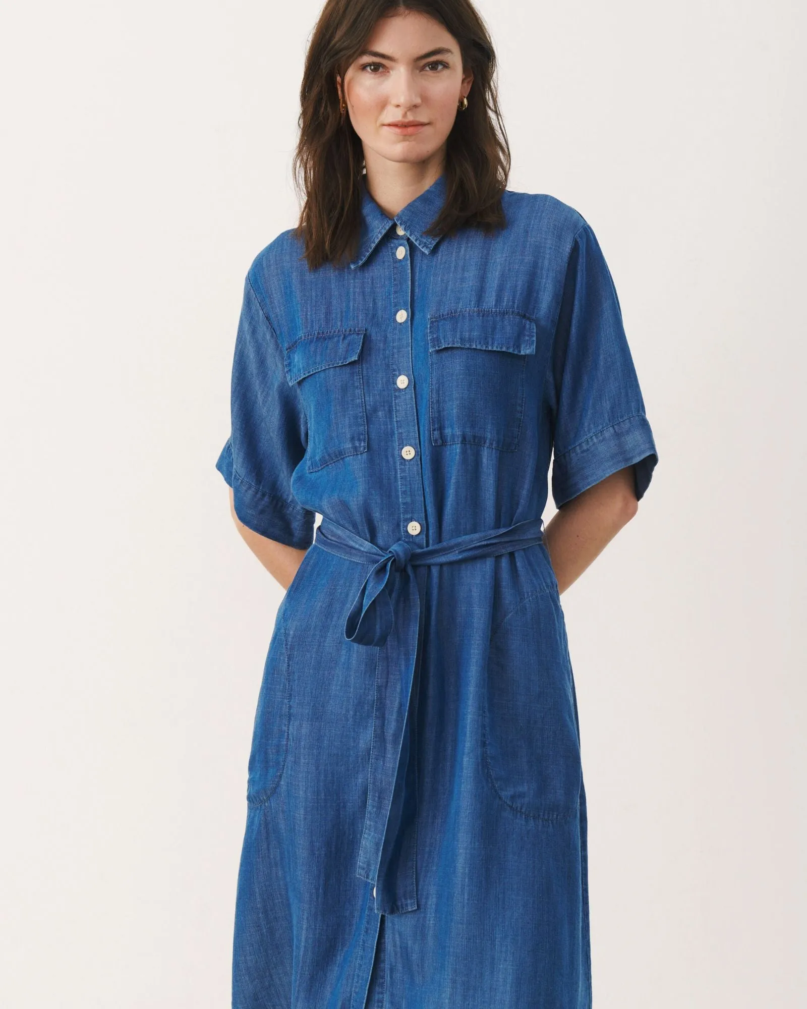 Brielle Denim Dress