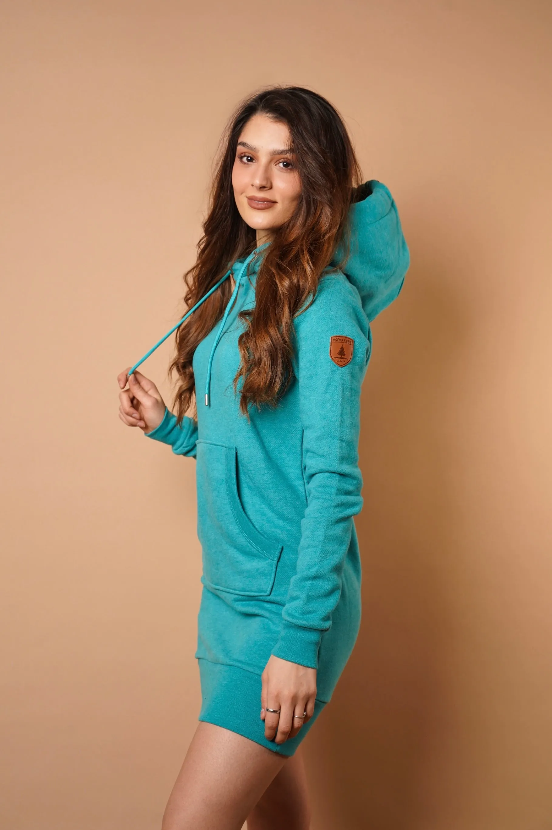 Carmen Lake Hoodie Dress