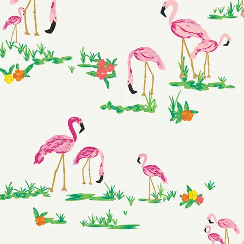 Flamingo Field