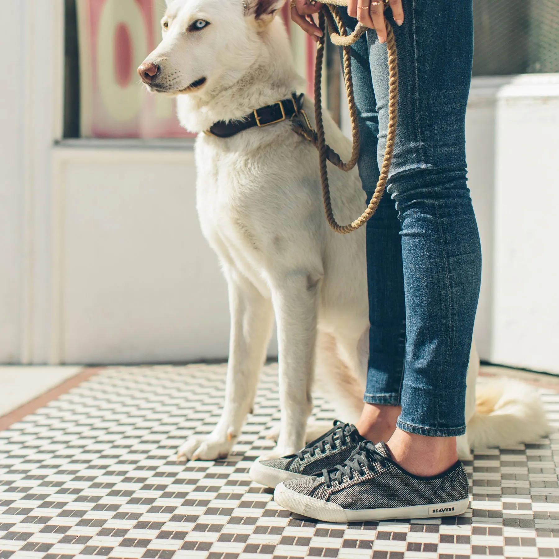 The Monterey Sneaker in Woolen Tweed